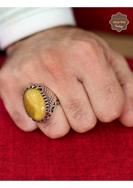 Septeryan Taşı Sarmaşık Model 925 Ayar Gümüş Erkek Yüzük 201024804 modelleri