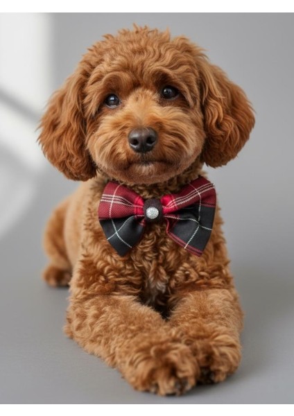 Aristokrat Ekose Silver Köpek Papyonu Tasma Yılbaşı fiyatları