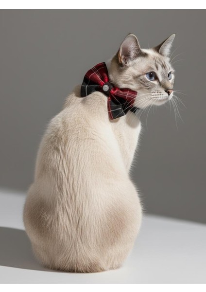 Aristokrat Kedi Papyonu Kurdela Tasma Yılbaşı Noel fiyatları