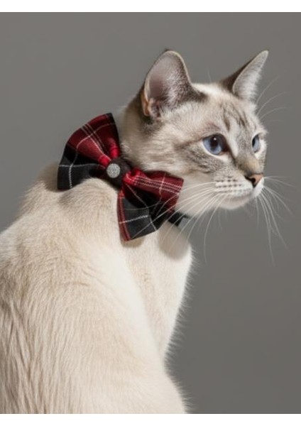 Aristokrat Kedi Papyonu Kurdela Tasma Yılbaşı Noel fırsatları