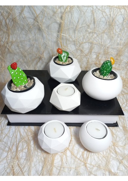 6 Parça Beyaz Ev ve Ofis Aksesuarı Sukulent/kaktüs Saksı, Mumluk Set Dekoratif Obje