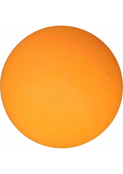 Pinpon Raket Seti S02000170 indirimleri