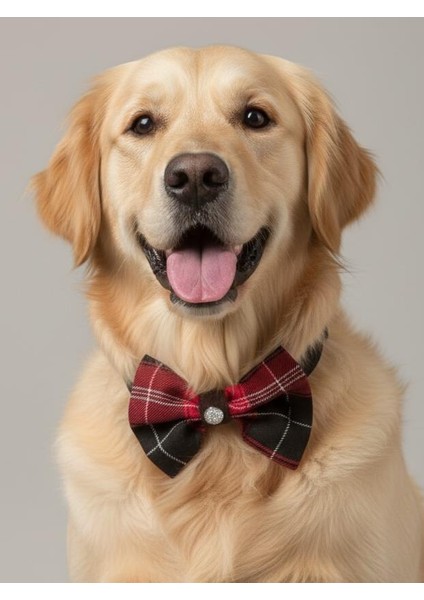 Aristokrat Büyük ve Orta Irk Köpek Papyonu | Ekose Desen Silver Taşlı Şık Aksesuar