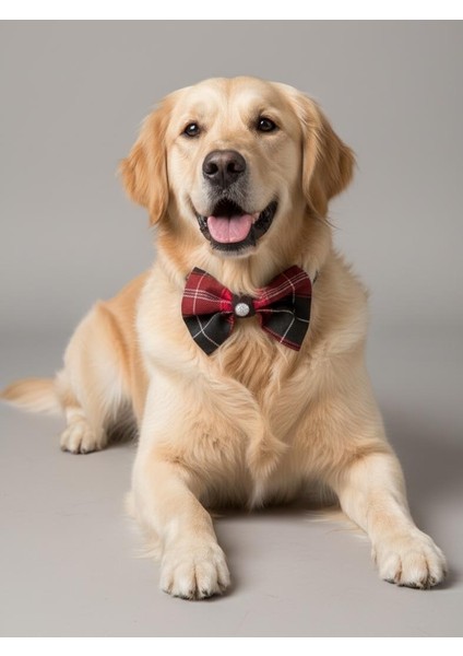 Aristokrat Büyük ve Orta Irk Köpek Papyonu | Ekose Desen Silver Taşlı Şık Aksesuar fiyatları