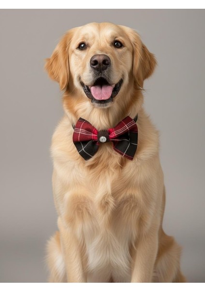 Aristokrat Büyük ve Orta Irk Köpek Papyonu | Ekose Desen Silver Taşlı Şık Aksesuar fırsatları