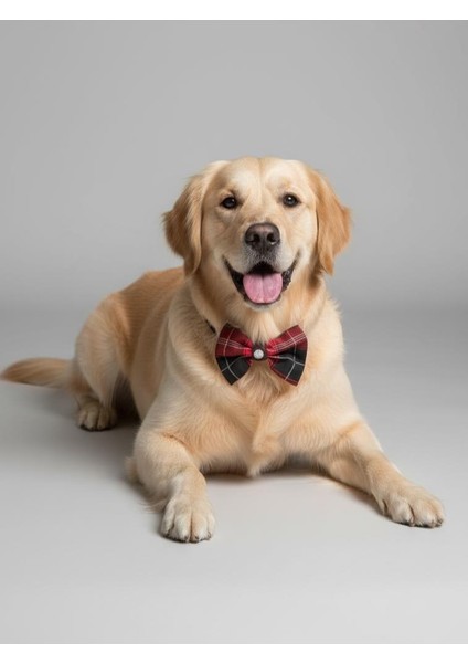 Aristokrat Büyük ve Orta Irk Köpek Papyonu | Ekose Desen Silver Taşlı Şık Aksesuar indirimleri