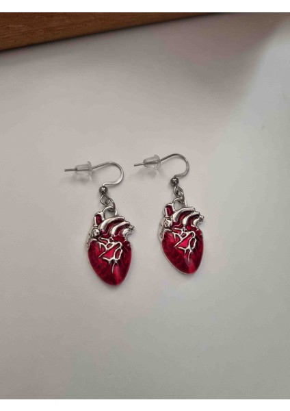 Anatomik Kalp Küpe Y2K fiyatları