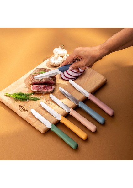 Rustik 6'lı Steak Bıçak Seti fiyatları