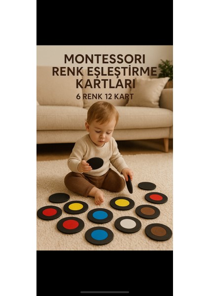 Montessori Renk Eşleştirme Kartları – 6 Renk 12 Kart – Okul Öncesi Eğitici Eva Oyuncak (2+ Yaş)