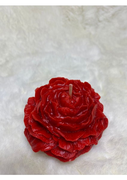 Şakayık Çiçeği Mum