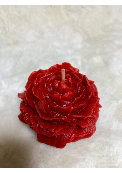 Şakayık Çiçeği Mum fiyatları