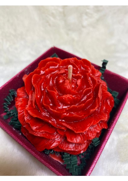 Şakayık Çiçeği Mum modelleri