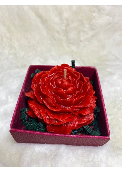 Şakayık Çiçeği Mum fırsatları