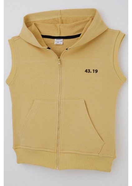 Erkek Çocuk Yelek Fermuarlı Kapüşonlusırt Kısmı Baskılı 4-12 Yaş, Hardal Sarı modelleri