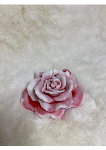 Kırmızı Beyaz Renklerinde Gül Mum