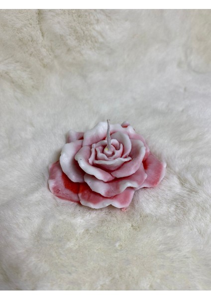 Kırmızı Beyaz Renklerinde Gül Mum fiyatları