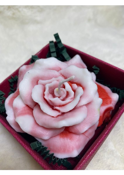 Kırmızı Beyaz Renklerinde Gül Mum modelleri