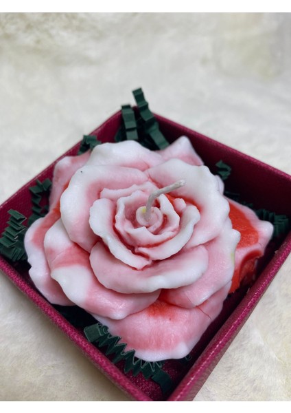 Kırmızı Beyaz Renklerinde Gül Mum fırsatları