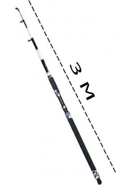 Profosyonel Deniz ve Göl Olta Takım 100-250GR Atarlı Kamış fiyatları