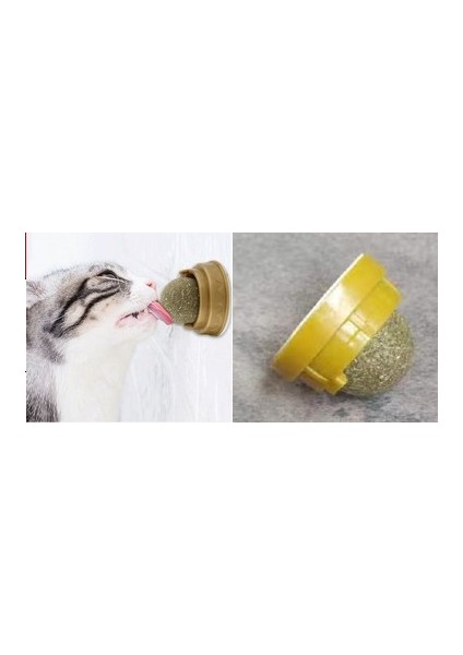 Kedi Nanesi Topu fiyatları