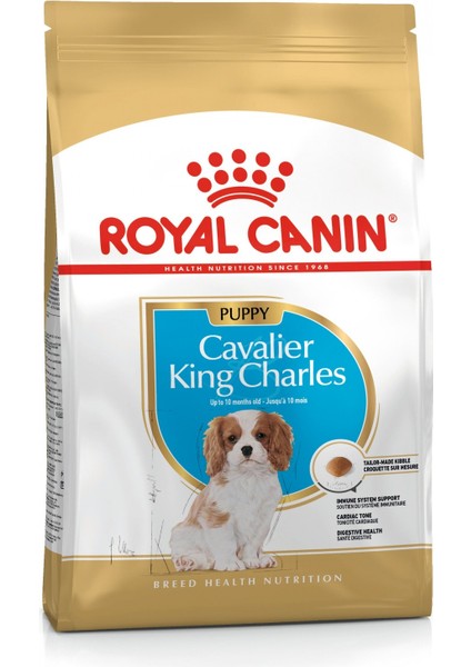 Cavalier King Charles Yavru Köpek Maması 1.5kg