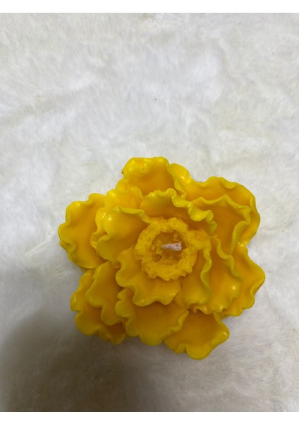 Karanfil Çiçeği Mum