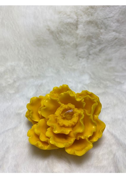 Karanfil Çiçeği Mum fiyatları