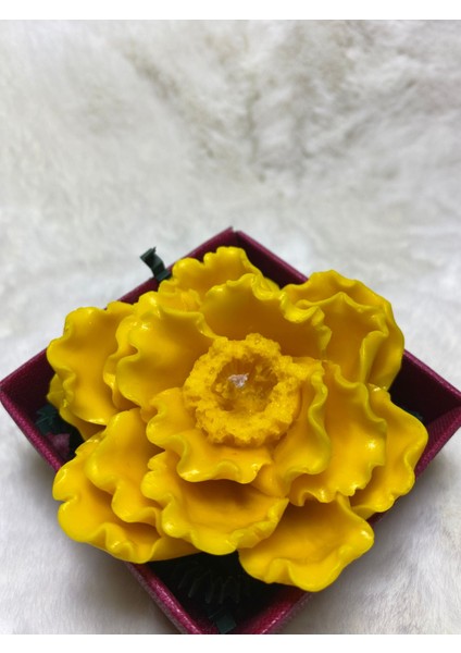 Karanfil Çiçeği Mum modelleri