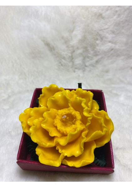 Karanfil Çiçeği Mum fırsatları