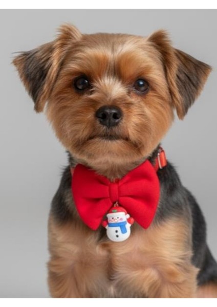 Snowman Küçük Irk Köpek Papyon Tasması | Kırmızı Fiyonk Boyun Aksesuarı | Noel Temalı Köpek Süsü modelleri