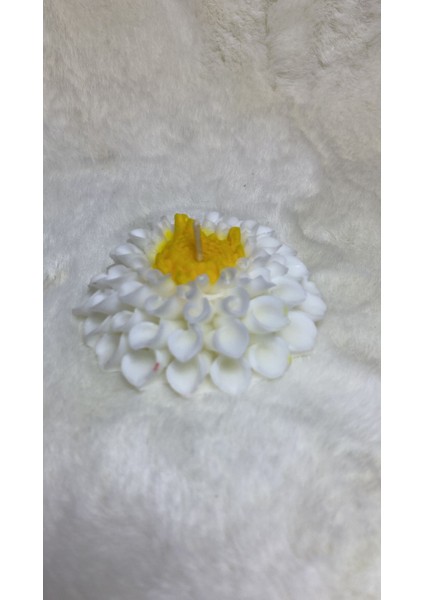 Kasımpatı (Krizantem) Çiçeği Mum