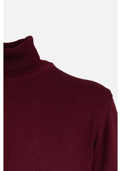 Erkek Tam Balıkçı Yaka Triko Kazak Slim Fit Yün Bordo fiyatları