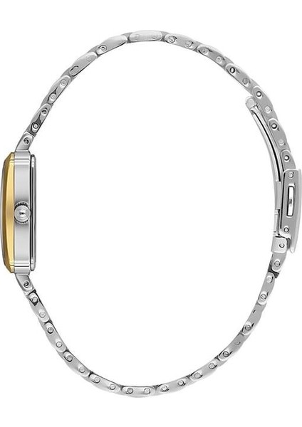 Danıel Kleın DKE.1.10831-3 Kadın Kol Saati fiyatları