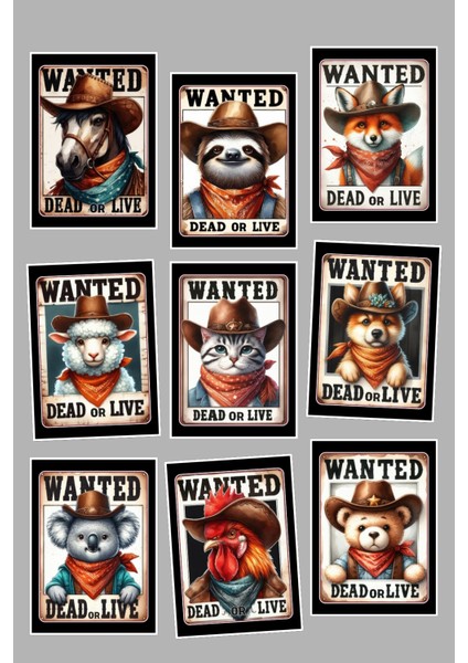 Wanted Sevimli Kediler 9'lu Kartpostal