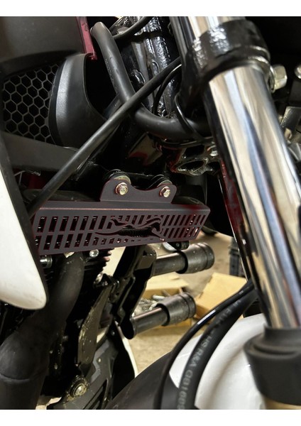 Tvs Apache Rtr 200 Uyumlu Radyatör Koruma