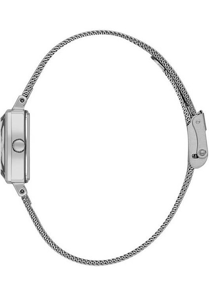 Danıel Kleın DKE.1.10853-1 Kadın Kol Saati fiyatları