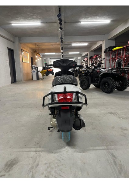 Etraf Koruma Demir modelleri