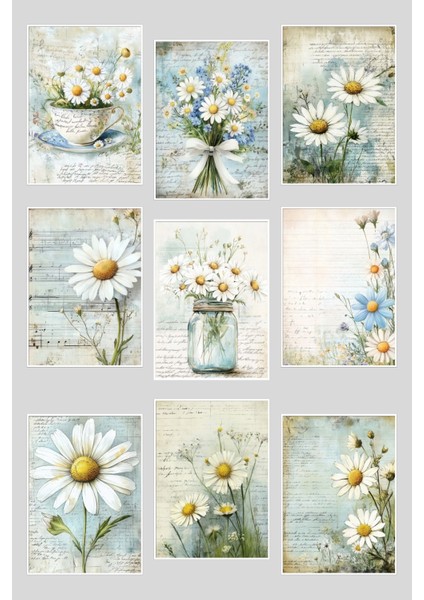 Papatyalar No:2 Temalı 9'lu Kartpostal