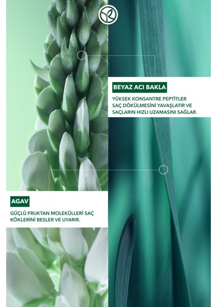 En Sevilenler 2'li Saç Dökülmesine Karşı/anti-Chute Şampuan SETI-9916960 modelleri