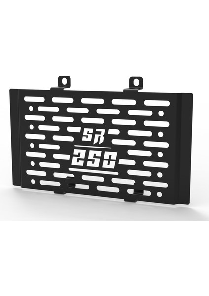 Cfmoto Sr 250 Uyumlu Radyatör Koruma fiyatları