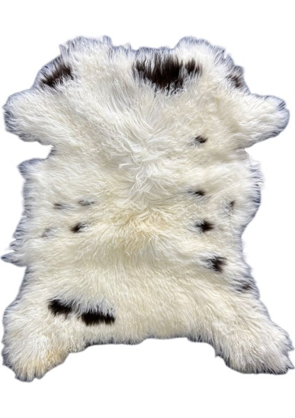 Naturel Doğal Desenli Benekli Uzun Tüylü Boyasız Medikal Koyun Postu