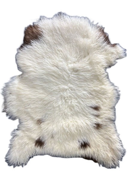 Naturel Doğal Desenli Benekli Uzun Tüylü Boyasız Medikal Koyun Postu fırsatları