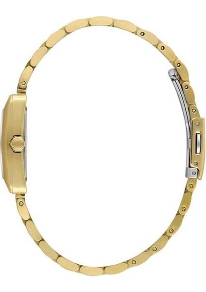 Danıel Kleın DK102-DKE.1.10821-4 Kadın Kol Saati fiyatları