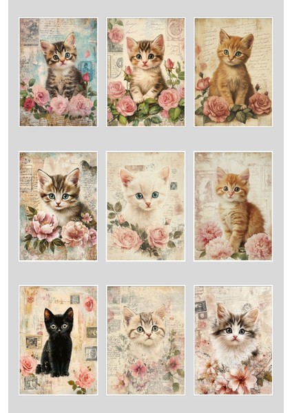 Sevimli Kediler Temalı 9'lu Kartpostal