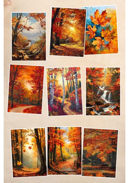 Sonbahar Orman Manzaralı 9'lu Kartpostal
