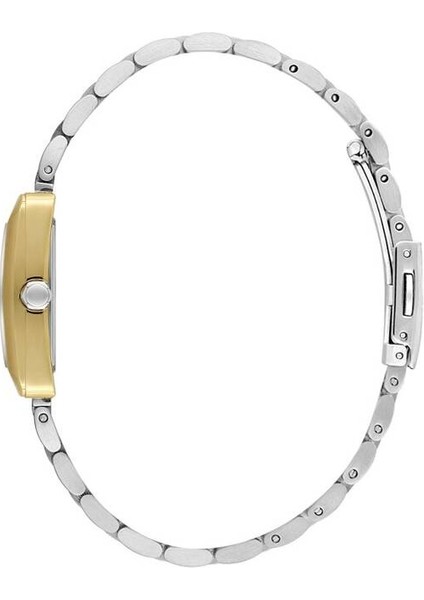 Danıel Kleın DK102-DKE.1.10821-6 Kadın Kol Saati fiyatları