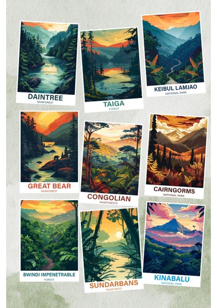 Ormanlar Temalı No:2 9'lu Kartpostal