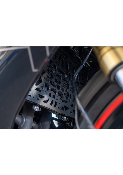 Cfmoto 450 Sr Uyumlu Radyatör Koruma