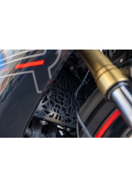 Cfmoto 450 Sr Uyumlu Radyatör Koruma fiyatları