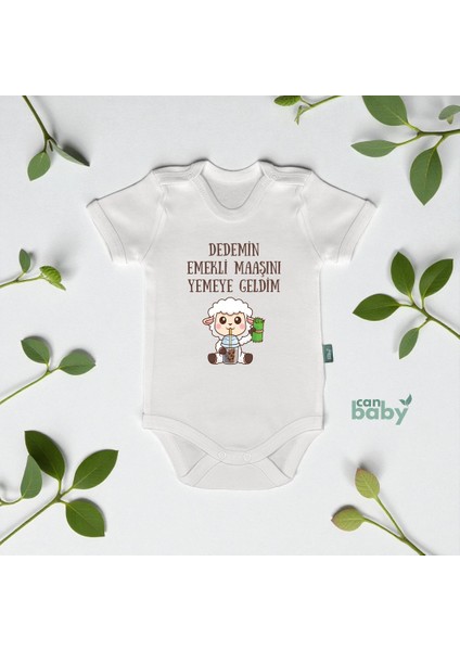 Eğlenceli & Komik Bebek Body & Zıbın Dedemin Emekli Maaşını Yemeye Geldim